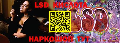 прущие крисы Можга
