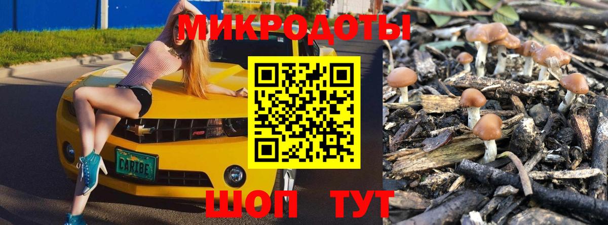 Галлюциногенные грибы Psilocybe Усолье-Сибирское