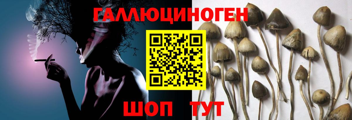 Галлюциногенные грибы прущие грибы  Вход с VPN  Усолье-Сибирское 